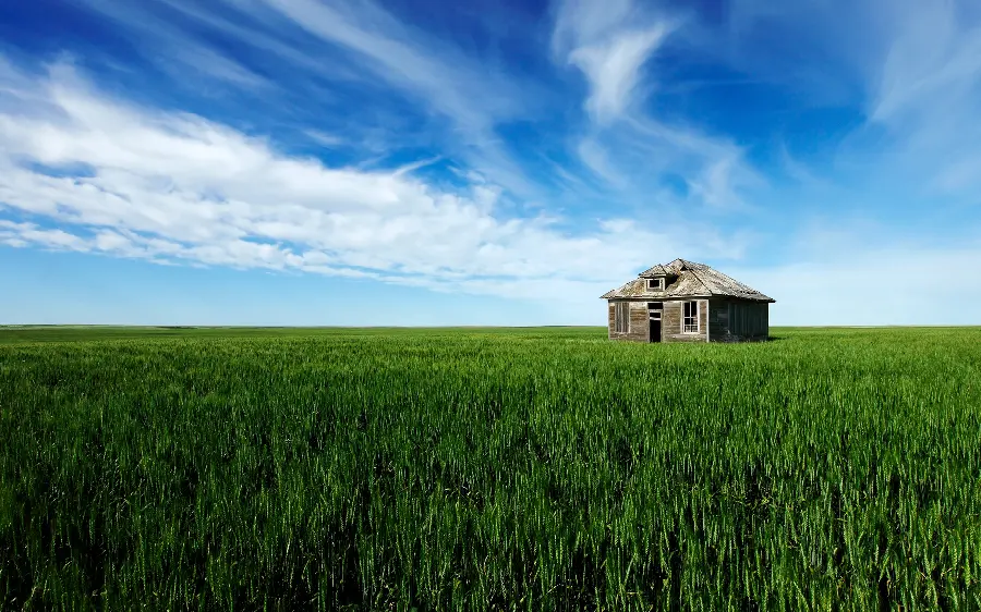 The most amazing profile photo of the natural landscape of the meadow and field