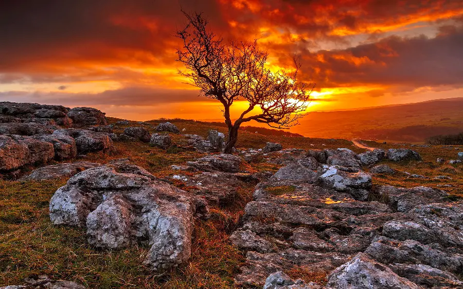 Wallpaper with a very excellent edit and a view with an amazing view
