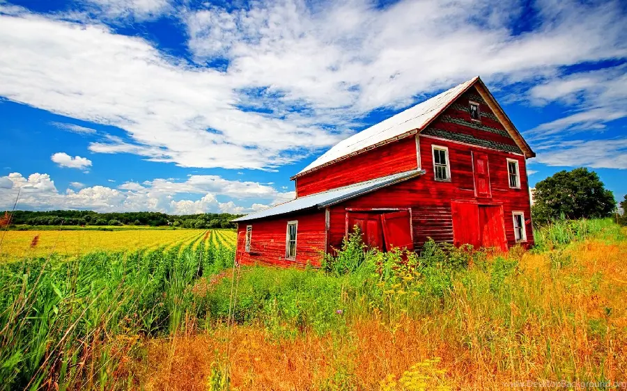 Red-walled barn wallpaper in the middle of a lush field