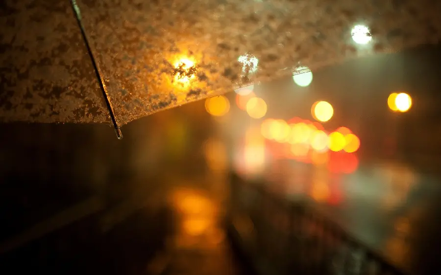 Download beautiful and bright photo of a rain umbrella for WhatsApp and happy profile 