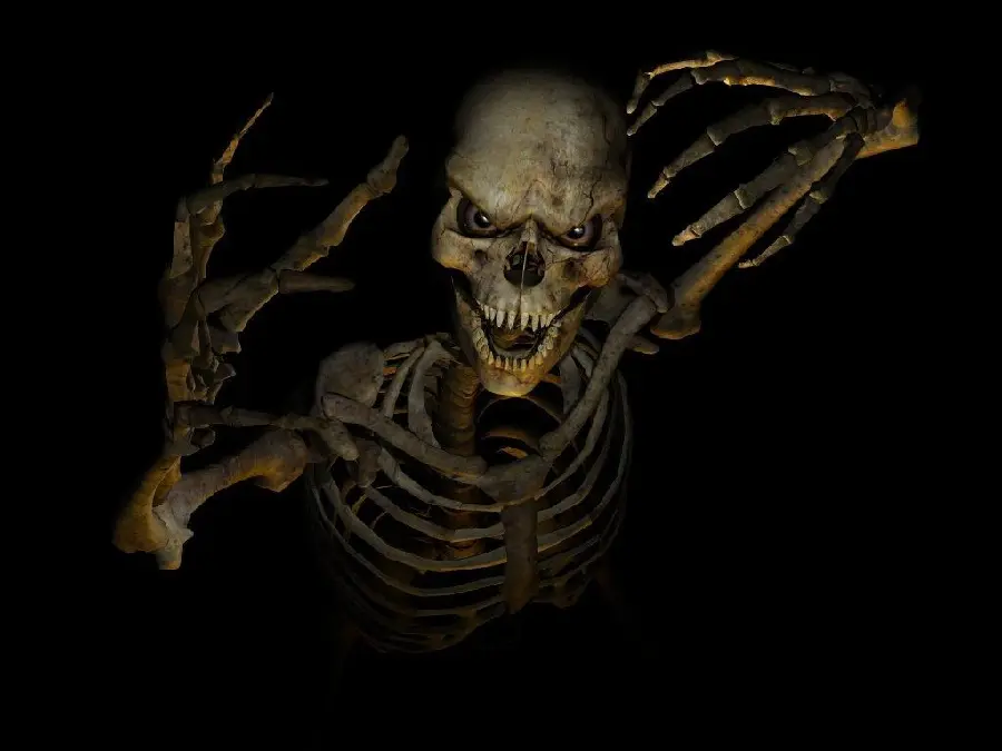 Scary photo of a human skull and skeleton with a black background 