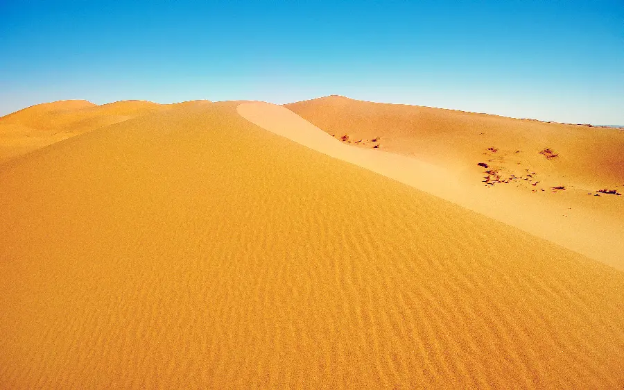 Background photo of the most beautiful tourist destination and natural landscape Relaxing and attractive desert with the highest quality 