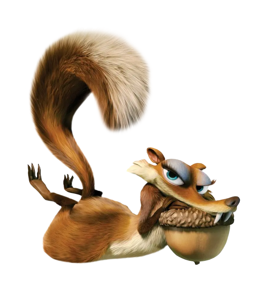 The most attractive PNG image and cut out of the female squirrel 
