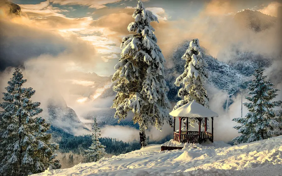 Download the most stylish and beautiful nature wallpaper with a winter design 