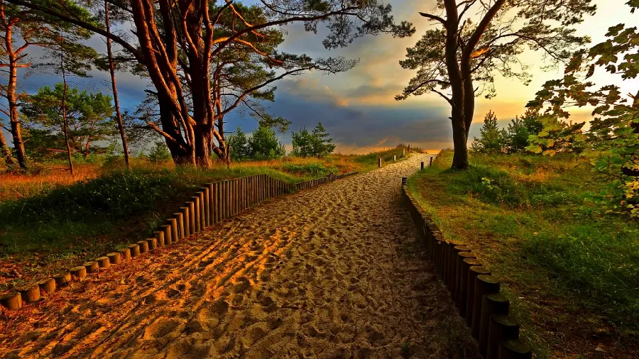 Wallpaper for desktop background with a pure and magical nature design