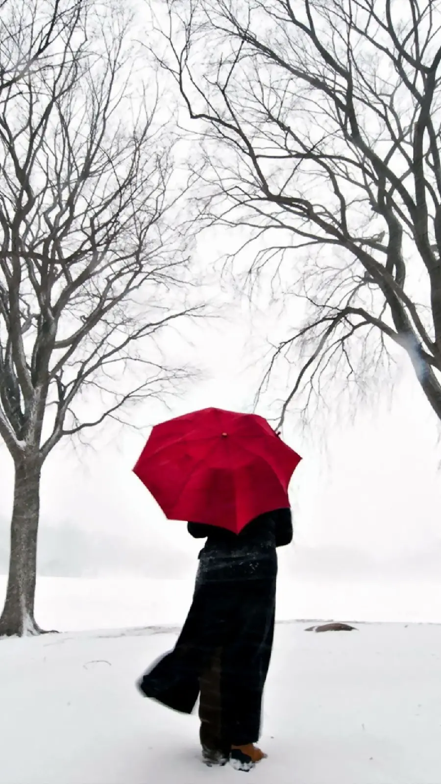 Download beautiful profile picture of a girl with a snow umbrella in a dreamy winter