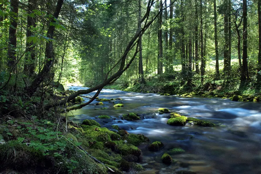A pleasant image of a natural attraction for use on the web Social 