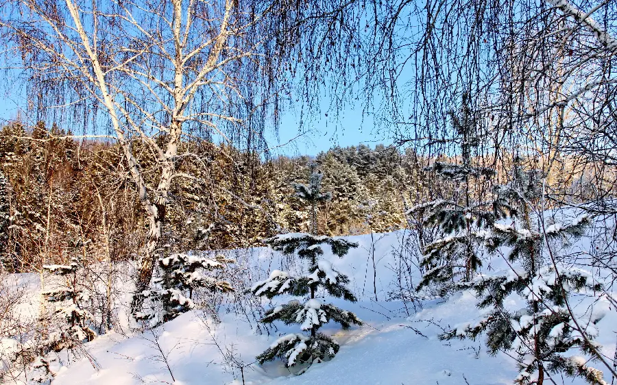 4K quality winter stock photo for use in cyberspace