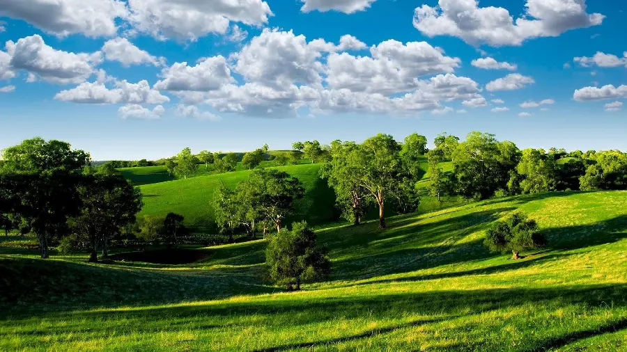 Background image of lush and refreshing landscape and nature for sightseeing 