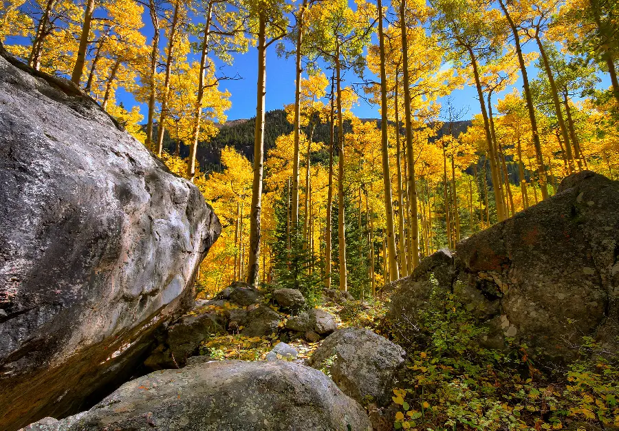 Download the relaxing and spectacular nature wallpaper