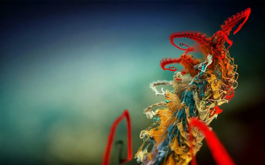 High Quality Macro Photography of Plants and Insects