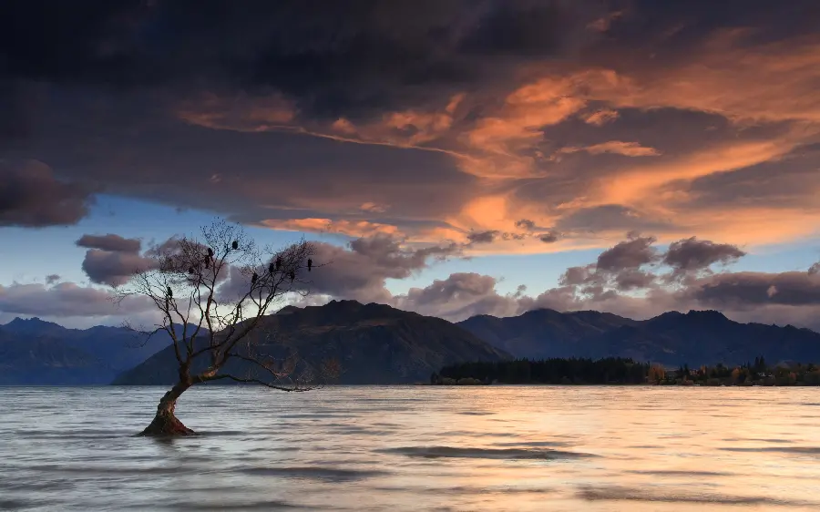 Indescribable image of the incredible beauty of God's marine nature