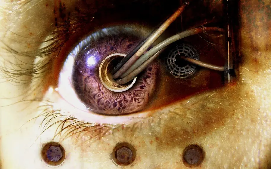 Haunting and realistic wallpaper for computer background 2024
