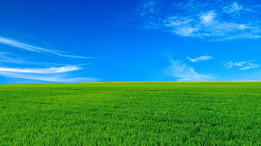 Download simple photo of green grass and lawns with clear blue sky 