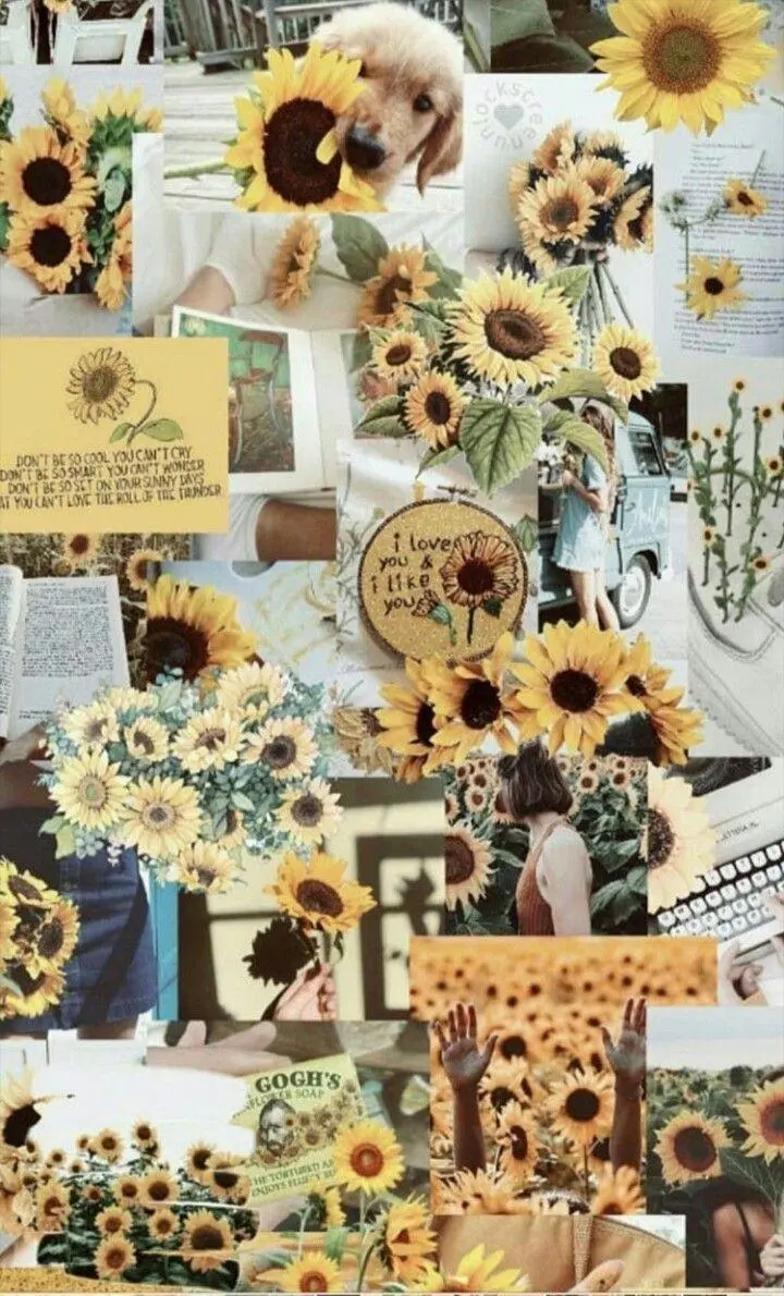 The Most Stylish Sunflower Collage Wallpaper