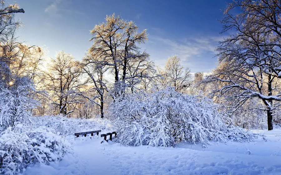 Winter photo in nature and snow-covered ground