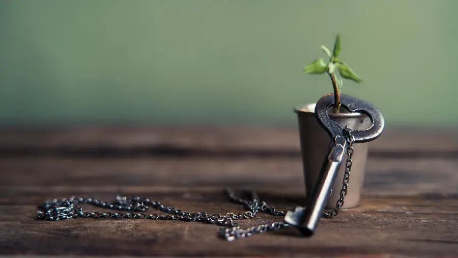 Beautiful fantasy wallpaper heart key necklace on a miniature flowerpot in HD quality