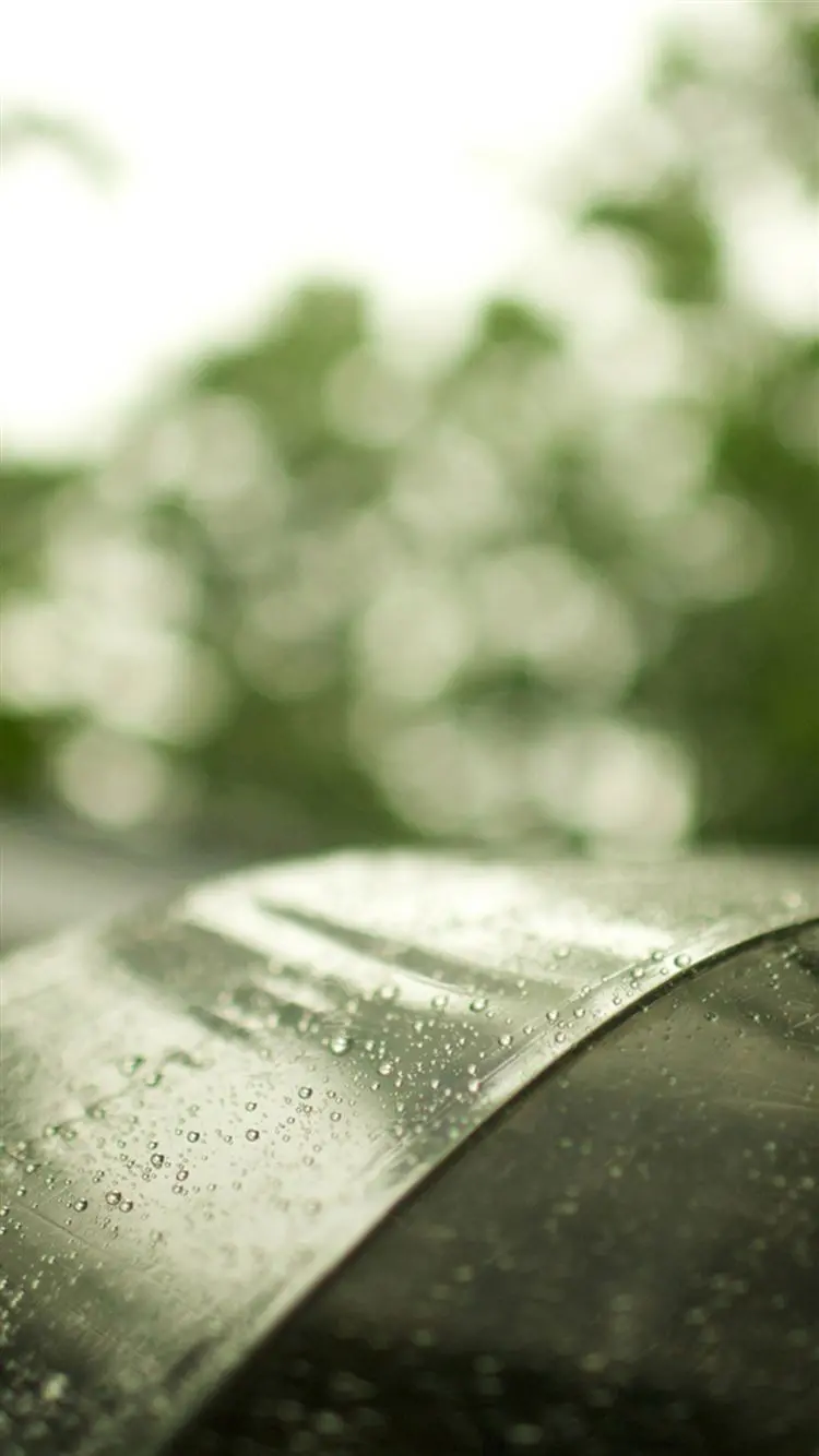 The simplest profile picture of an umbrella design on a rainy day