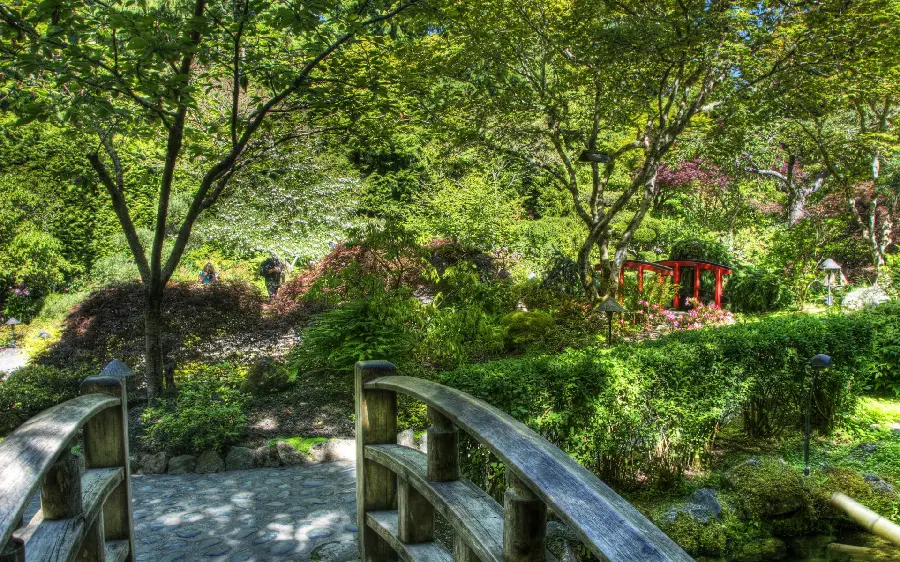 Small natural green forest with pleasant weather in summer