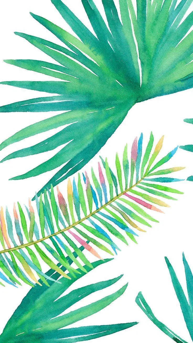 Download an attractive and beautiful background of green Hawaiian leaves 