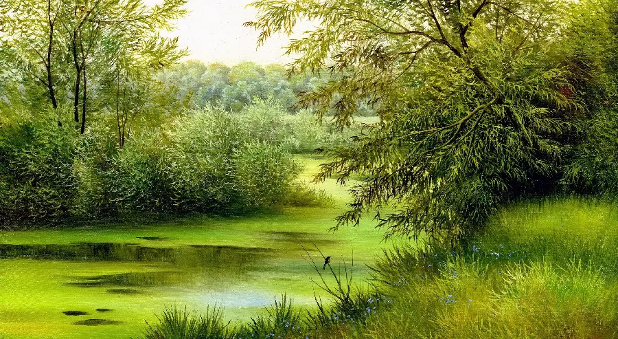 Download stock photos of nature painting Beautiful and lush forest 