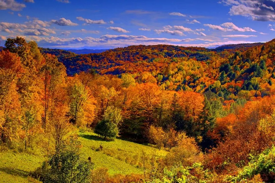A unique and unique autumn nature landscape