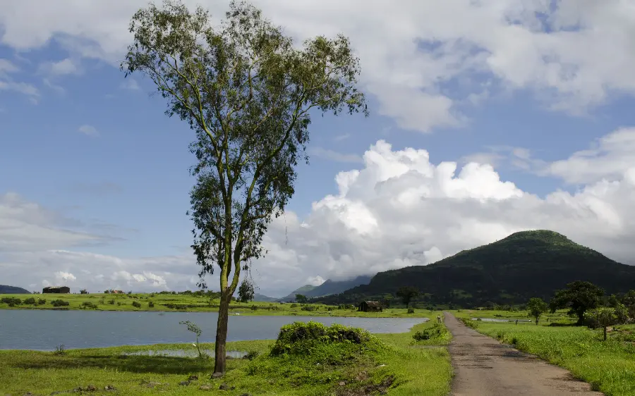 Download the latest wonderful and eye-catching landscapes of free nature