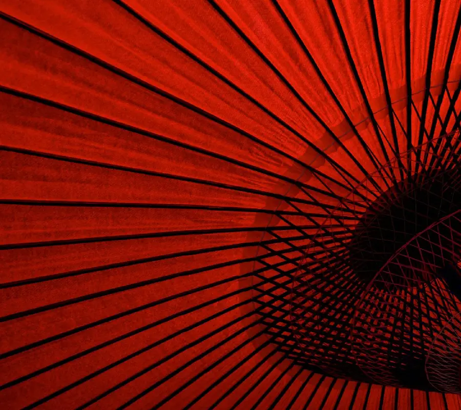 A profile photo with a Japanese umbrella design for lovers of Japanese tradition