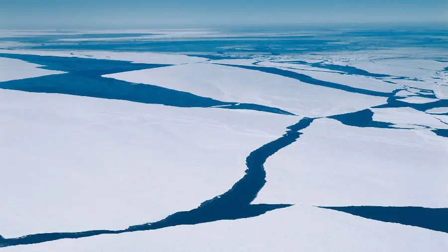 High-quality HD wallpaper of large ice floes floating on the ocean surface