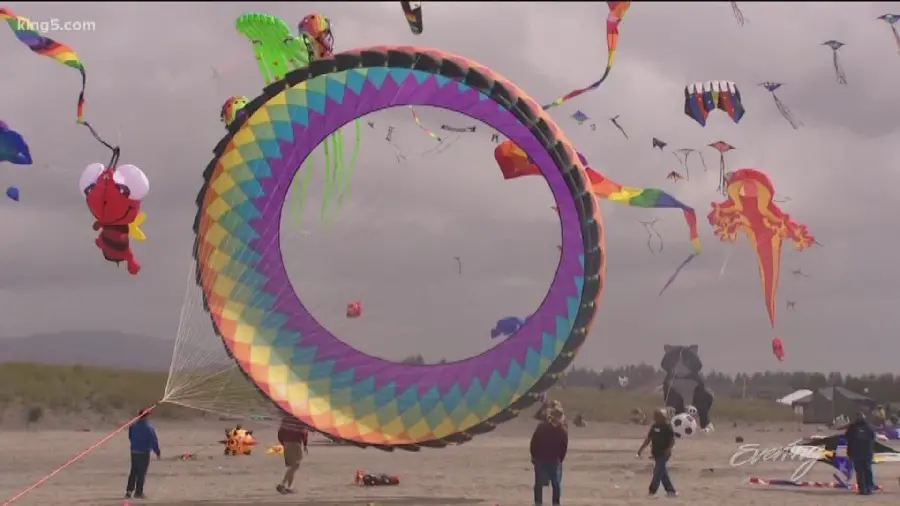 Giant Kite Wallpaper for Desktop on Kite Festival Day