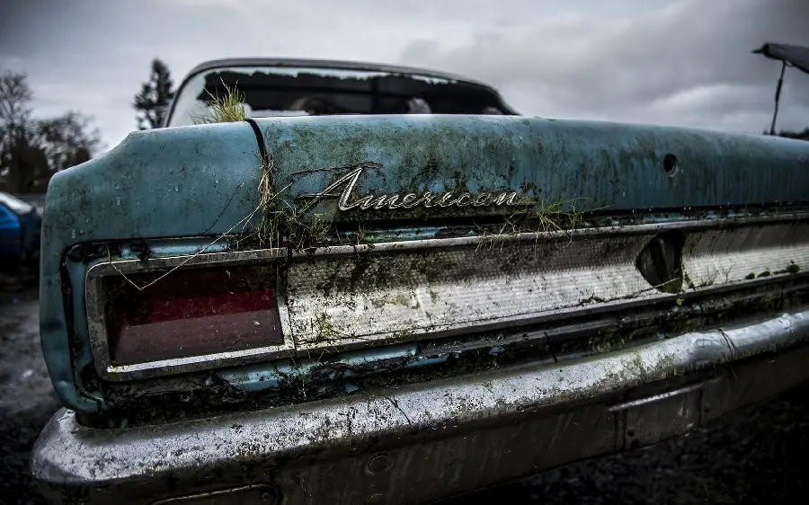 Boy's profile picture with an old car design in nature
