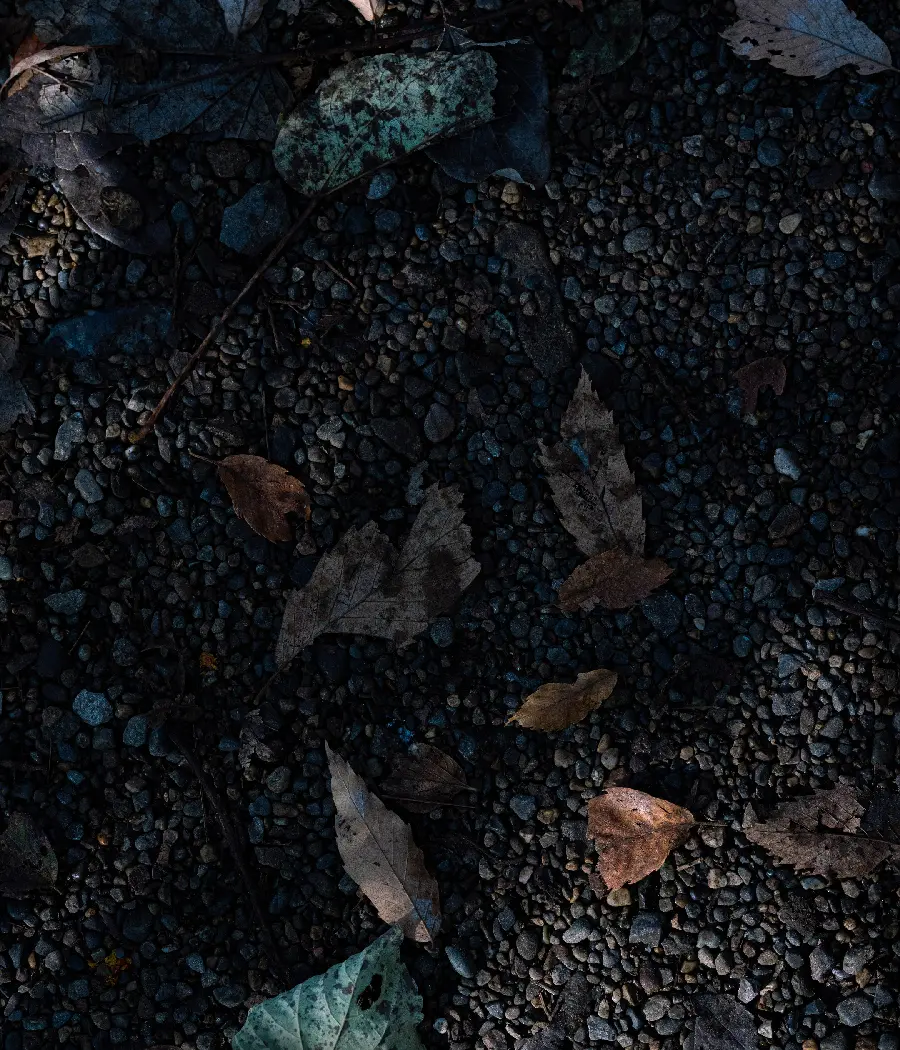 Download high-quality and free dark design photos for Sony Xperia 5