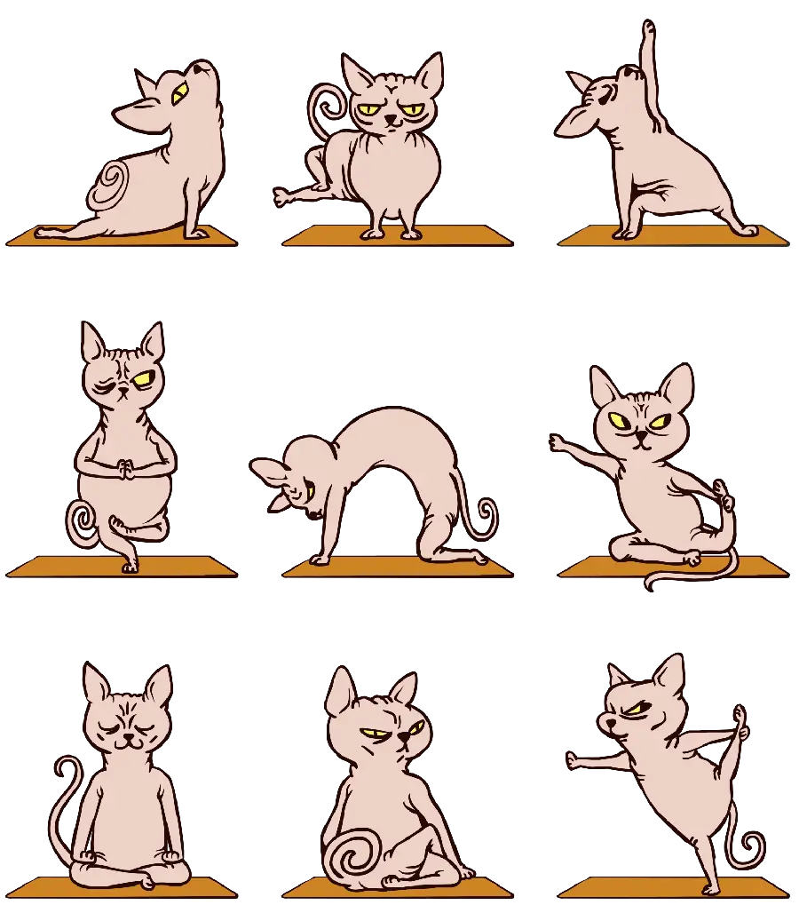 PNG painting image of a playful and energetic cat 