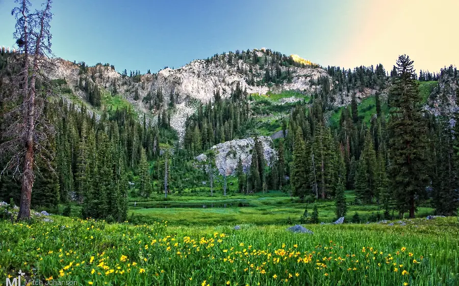Special and stylish nature background image for famous people 