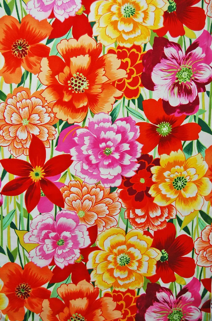 Frida's iPhone background photo with colorful and beautiful flowers 