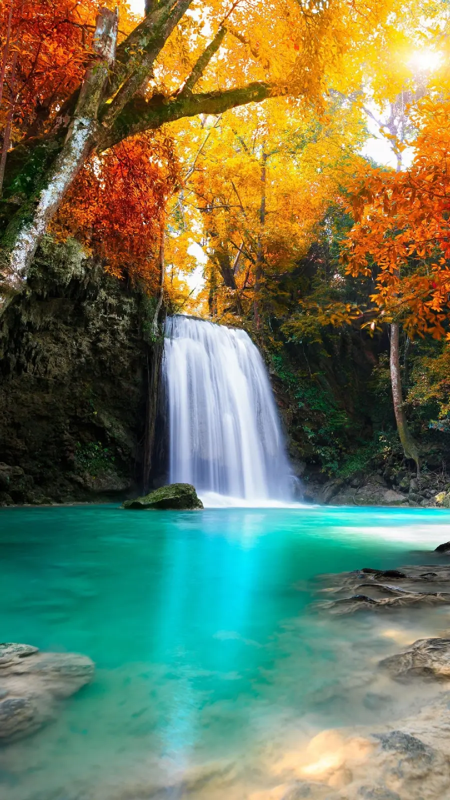 The most special image of the dreamy waterfall landscape in the autumn forest with the best quality