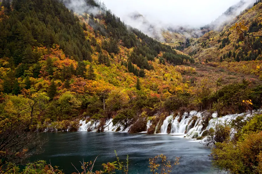 The most beautiful autumn landscape and landscape of yellow and orange shrubs by a small lake 