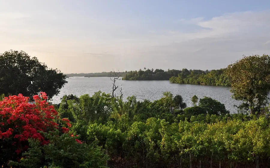 Very beautiful wallpaper of the lake and its surrounding vegetation in nature
