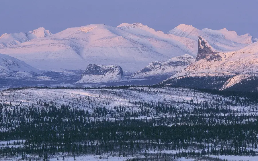 Cool and attractive background of nature with landscapes Snowy and cold feeling