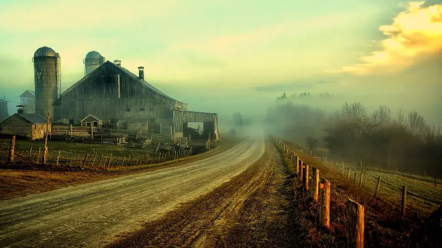Special and interesting photo of a granary and a factory that was abandoned for years