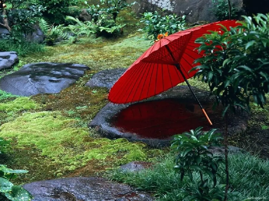 A stunning image of a Japanese umbrella in nature containing Japanese culture and civilization