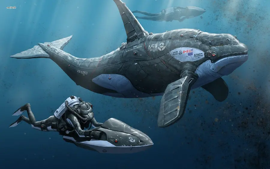 Orca killer whale