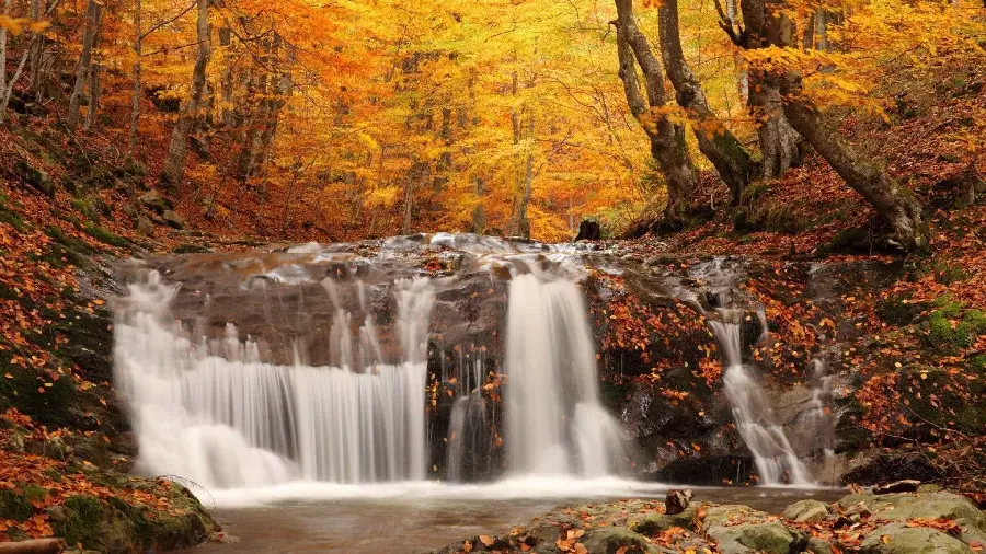 Download a beautiful and artistic photo of pure autumn nature and a clean and cool waterfall 