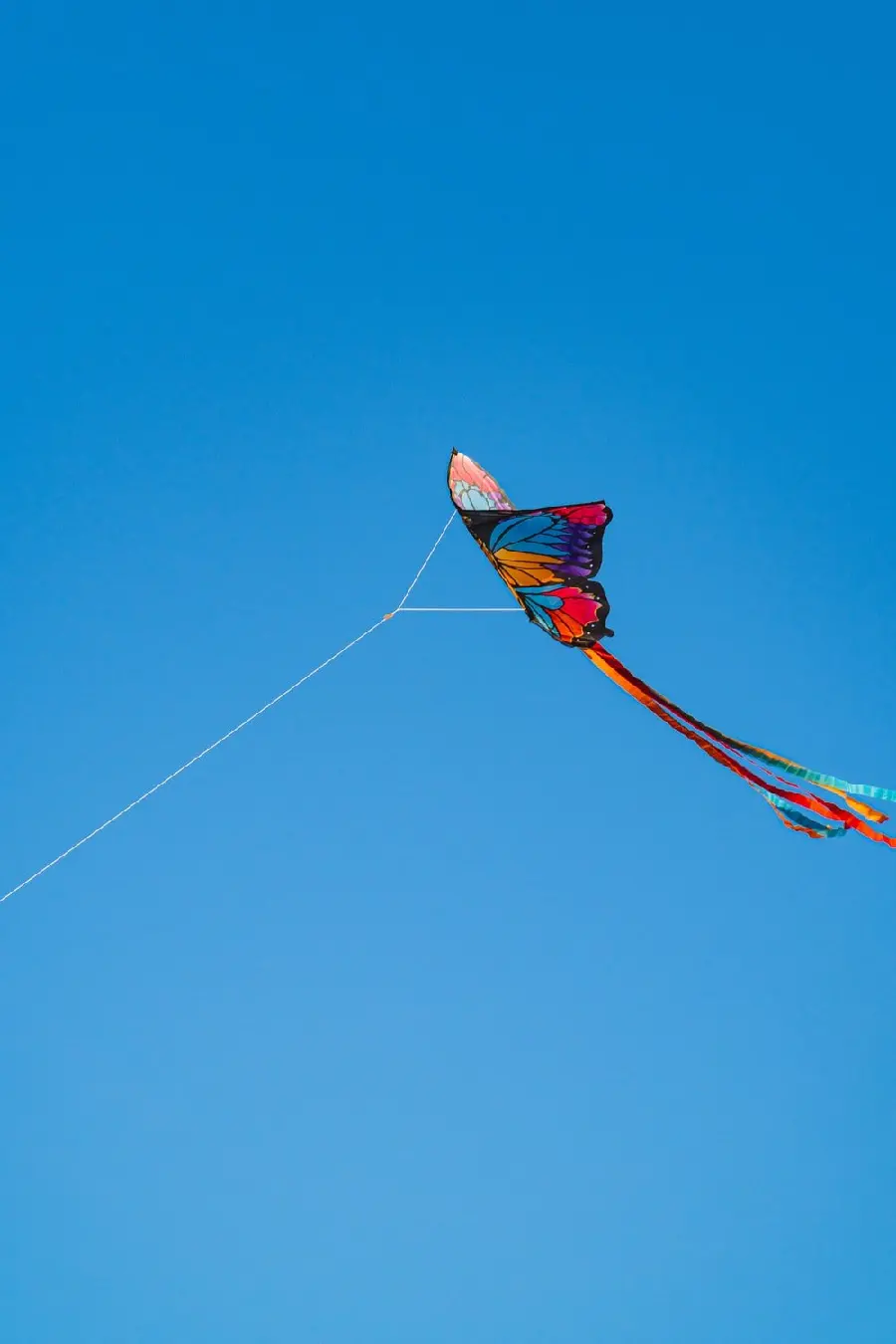 Image of a giant real kite flying in the sky