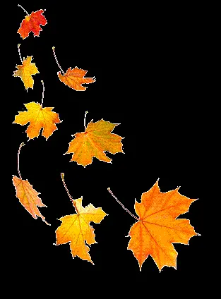 Stylish PNG image with black background, autumn leaves design 