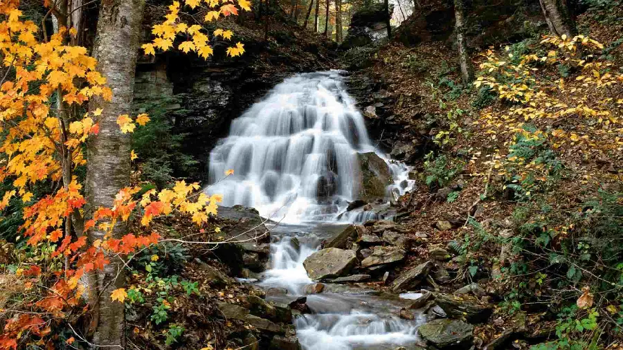 Free download of a photo of a waterfall full of water in autumn nature with the best quality 