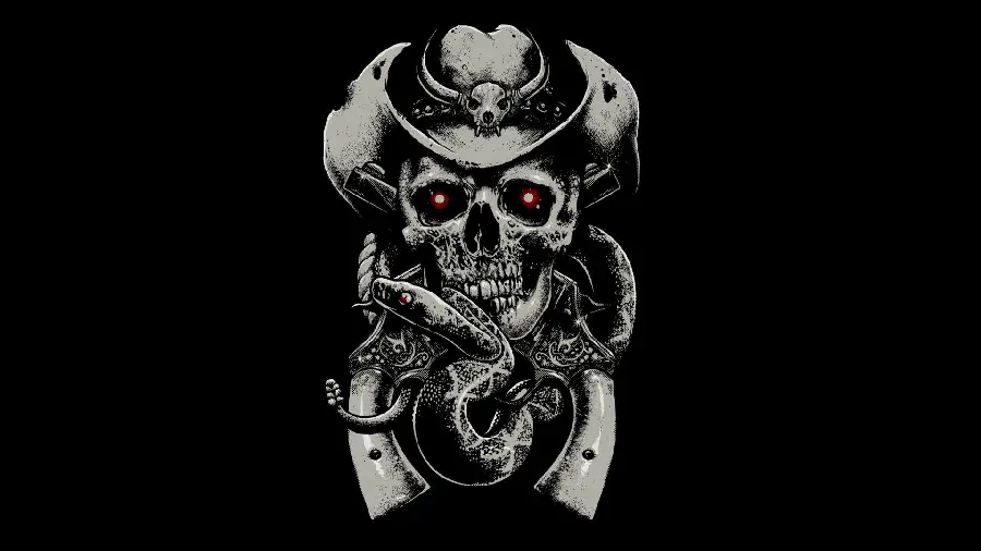 Free download of a human skull photo with a black background for your profile