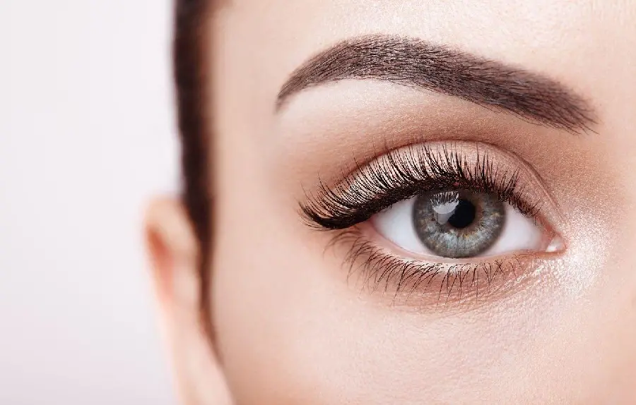Download photo of real eyes and eyebrows with long and attractive eyelashes 