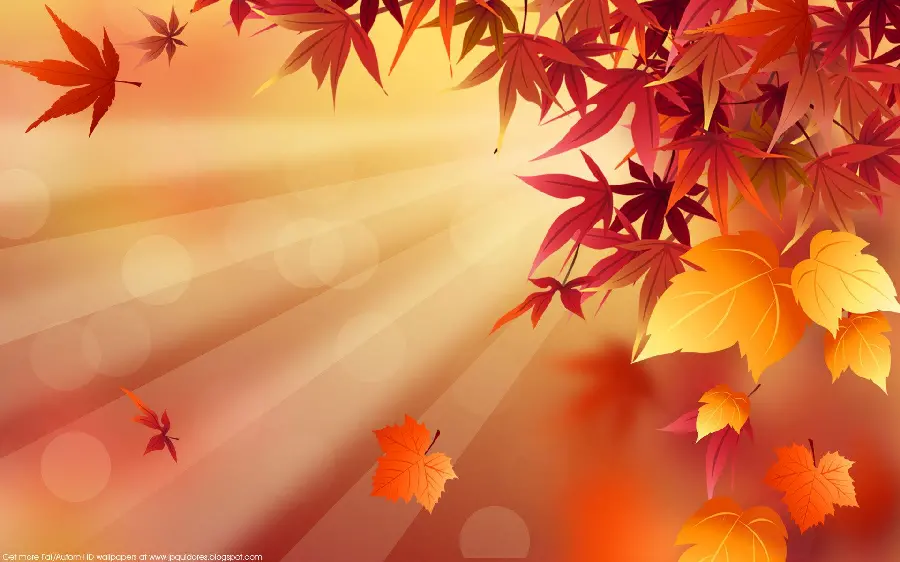 Beautiful and special autumn wallpaper for PowerPoint cover and photo captions 