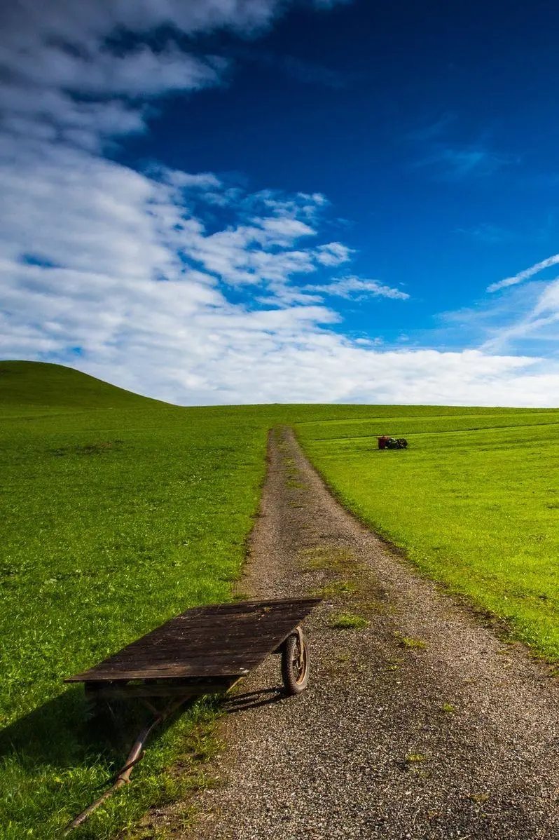  Wallpaper of a green field with a blue sky for your phone lock screen 